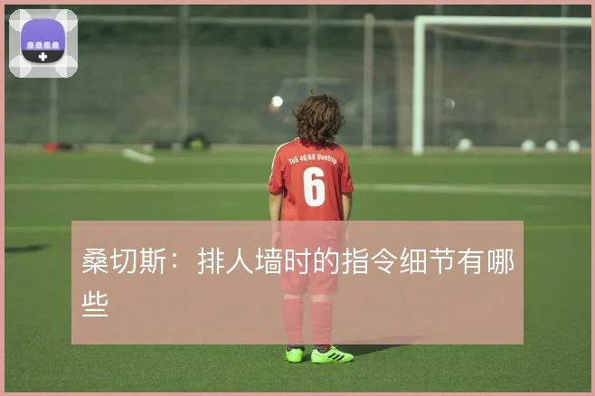 桑切斯：排人墙时的指令细节有哪些