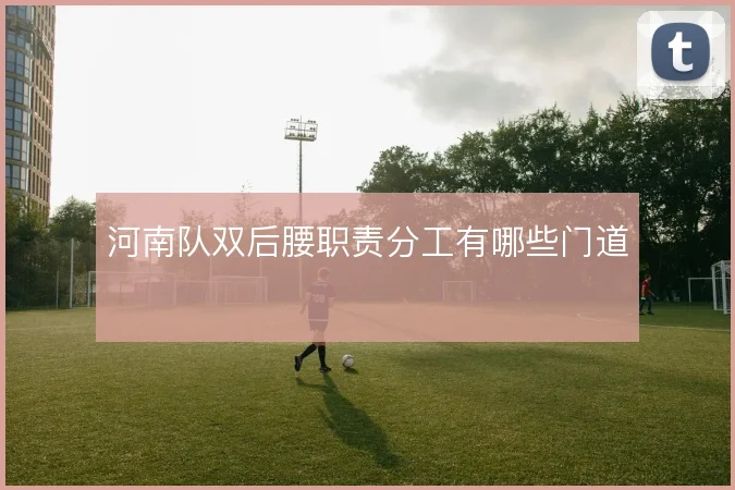 河南队双后腰职责分工有哪些门道